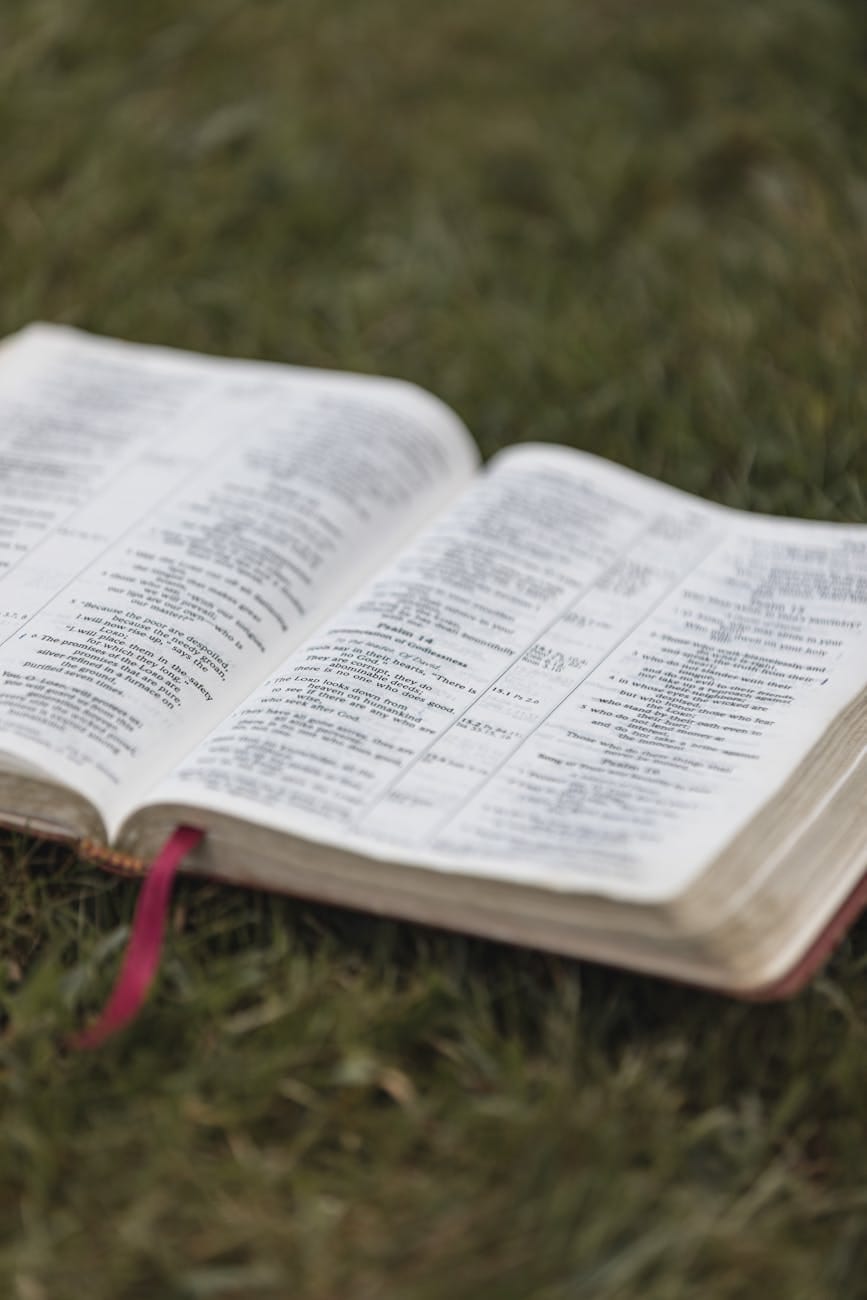 book on grass